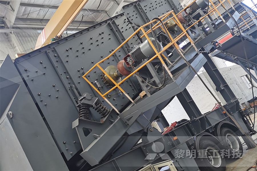 iron ore beneficiation plant in china  