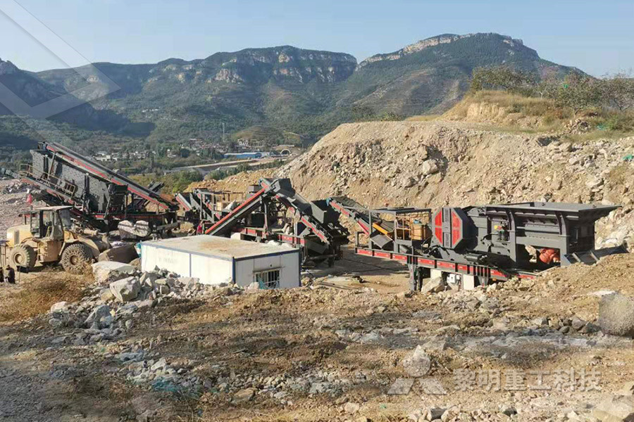 raymond mill manufacturers in nignia for manganese ore  
